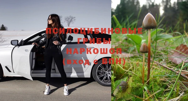 гашиш Арсеньев
