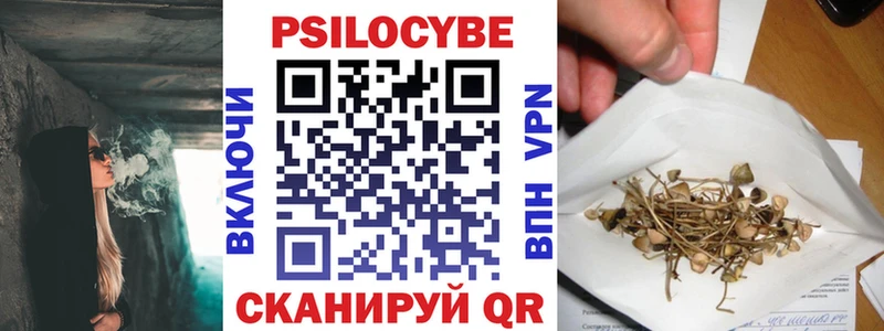 хочу наркоту  Мглин  Галлюциногенные грибы Psilocybe 